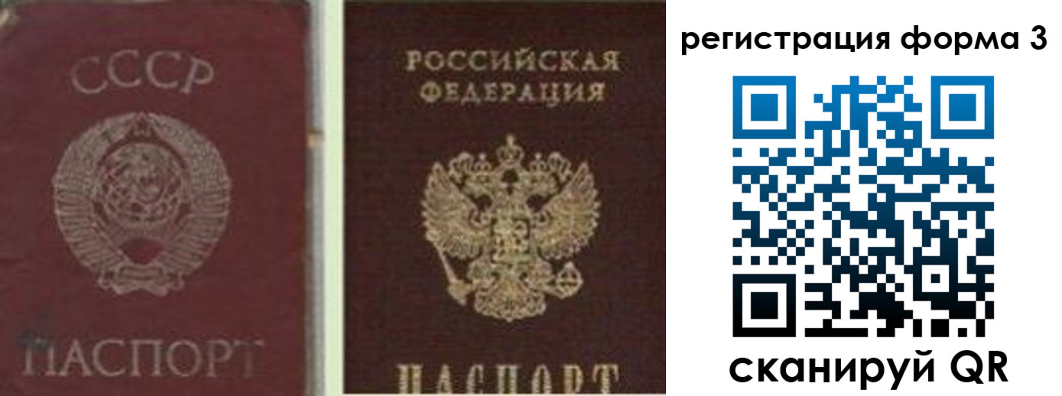 прописка для школы в Родниках